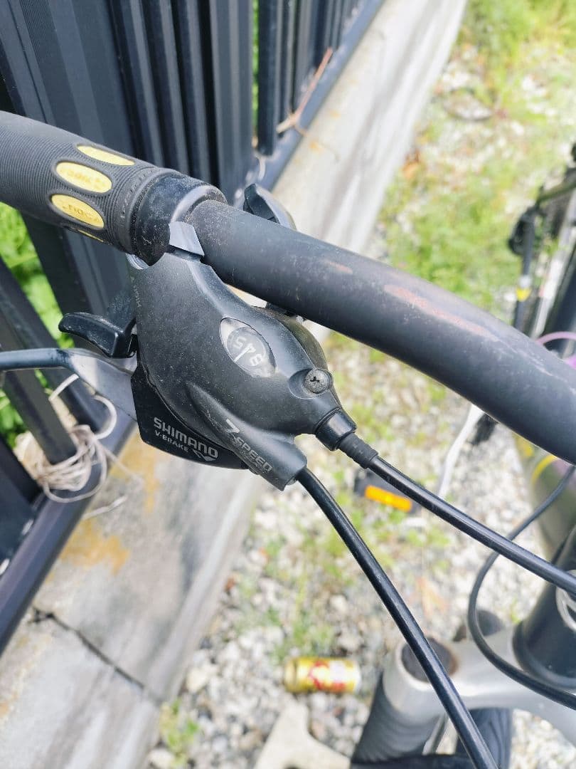 Treed Giant Rock5000 直接引取歓迎近県配送可