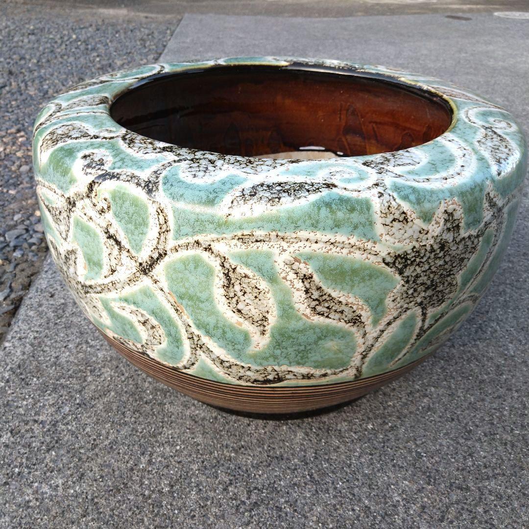 エメラルドグリーン 葉 花 草 火鉢 めだか鉢 金魚鉢