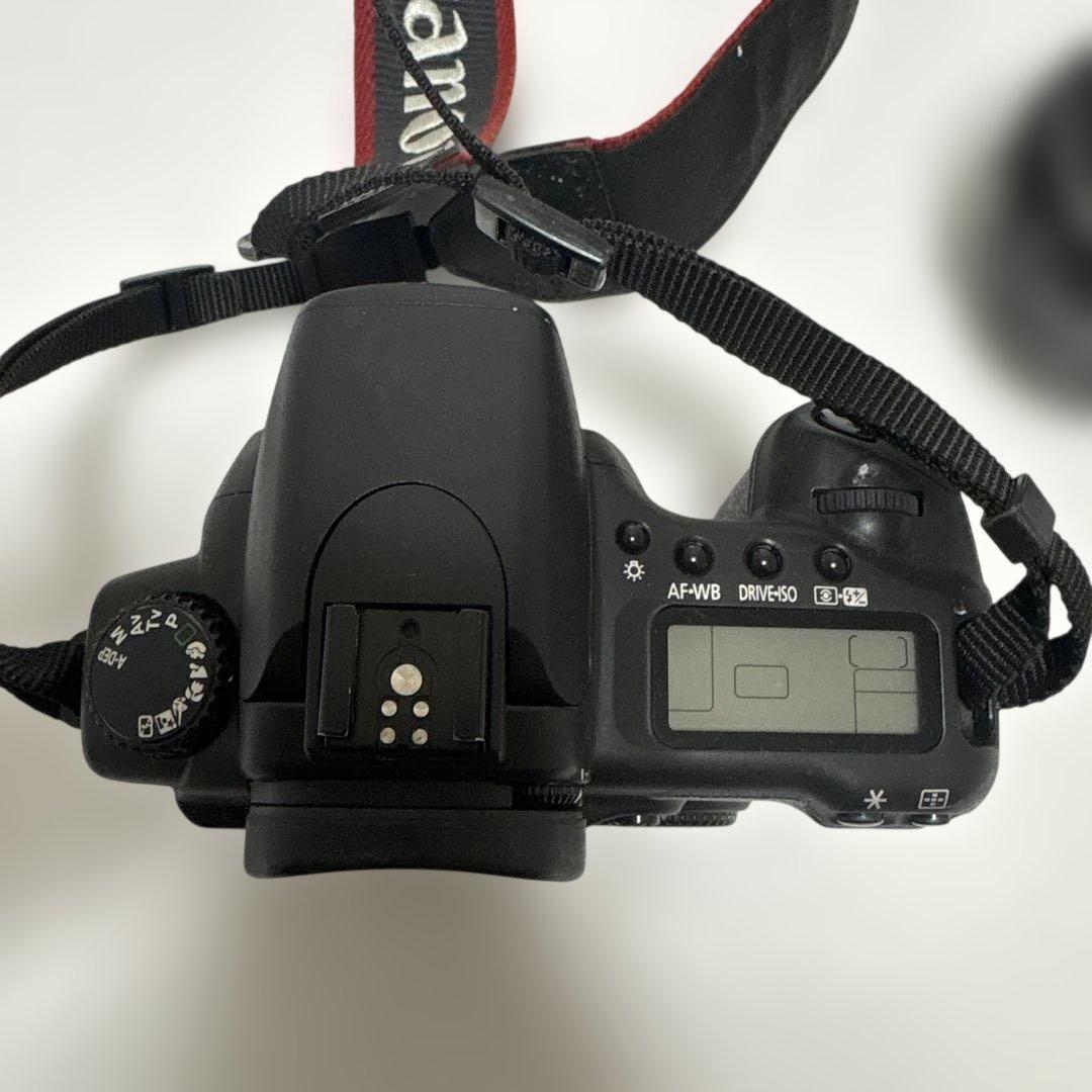 パ*ダ様 Canon EOS 20D デジタル 一眼レフカメラ セット レンズ2