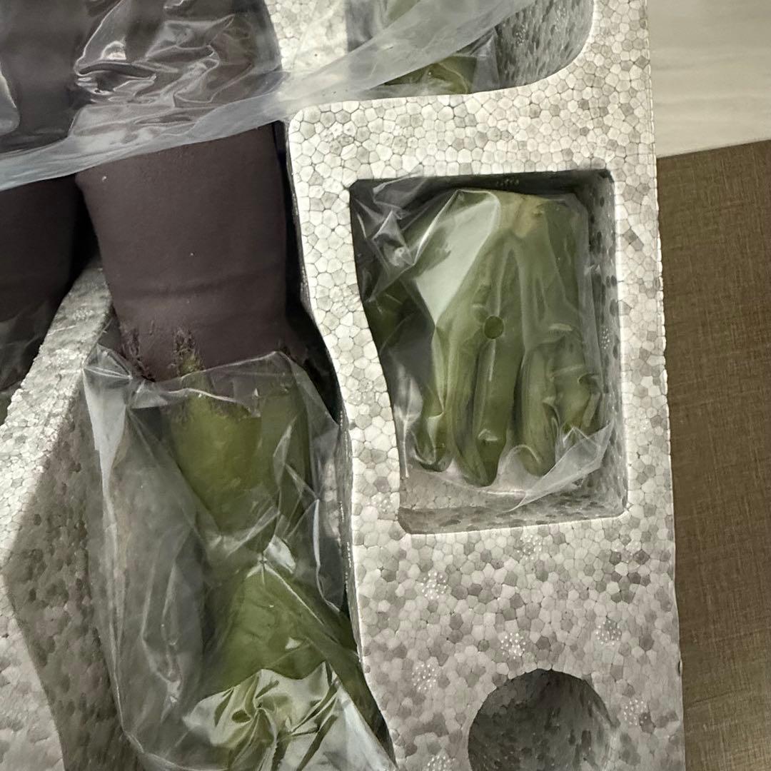 【超希少】ホットトイズ　ブルース・バナー&ハルク（２体セット） アベンジャーズ