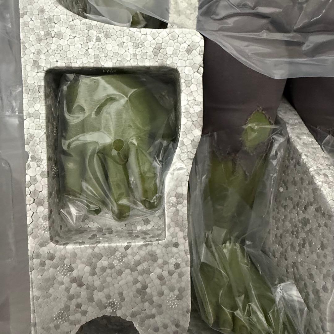 【超希少】ホットトイズ　ブルース・バナー&ハルク（２体セット） アベンジャーズ