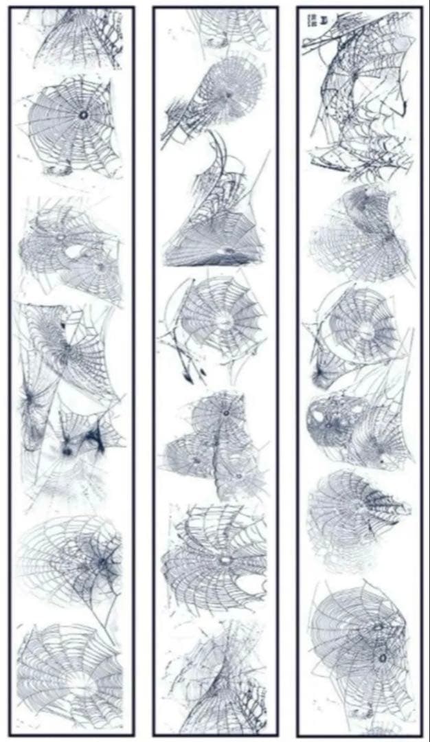 镭射黑 6cm×5m 蜘蛛网 海外マスキングテープ　蜘蛛の巣　クモの巣
