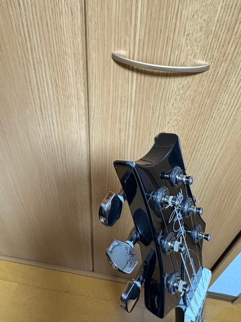 ギター Paul Reed Smith / SE Mark Holcomb