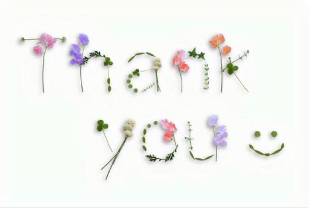 M1329.LION STUDIO 天鹅记 マスキングテープ 水晶PET