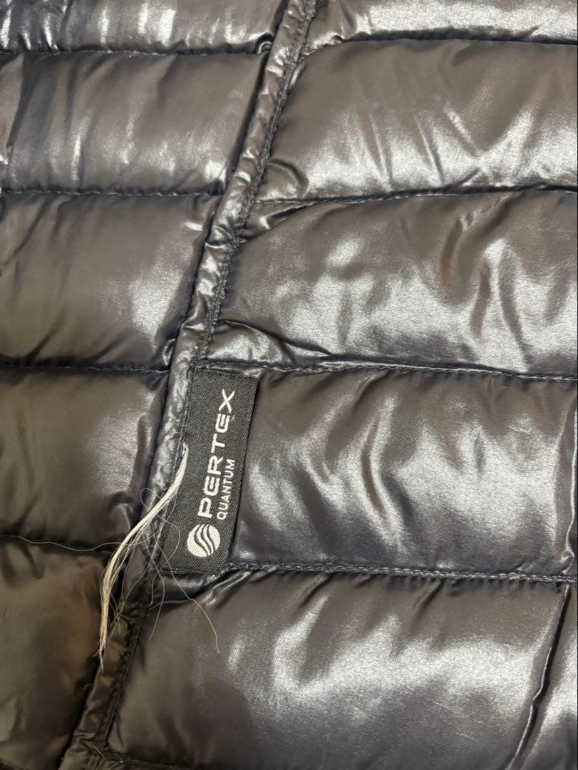 THE NORTH FACE Summit Series 700 ダウンベスト