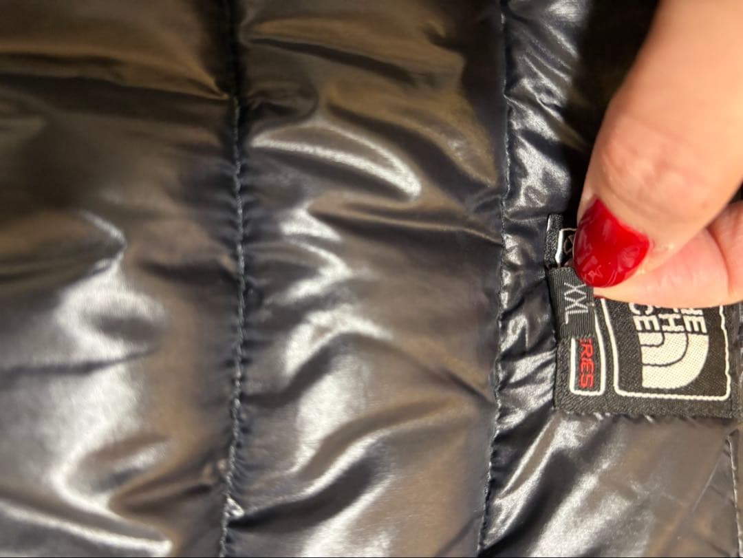 THE NORTH FACE Summit Series 700 ダウンベスト