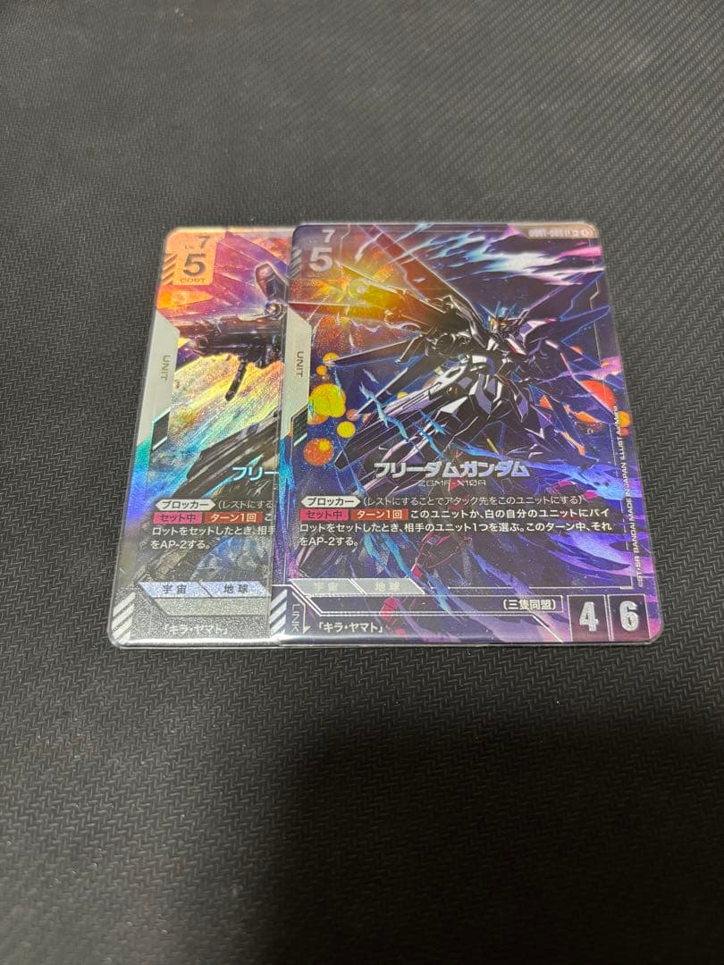 フリーダムガンダムLR&LR+　ニュータイプライジング