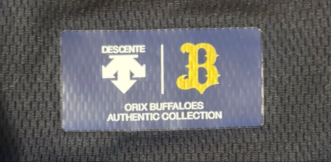 NPB 刺繍 入り 長袖トレーニングウェア Lサイズ オリックス・バファローズ