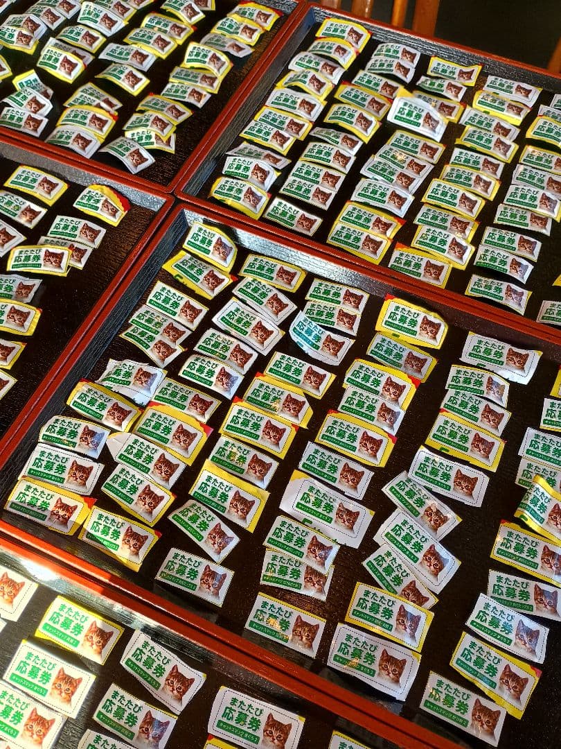 キャットスマック またたび応募券 100口分 500枚