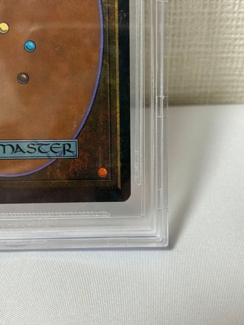 Tropical  BGS9.5 デュアルランド