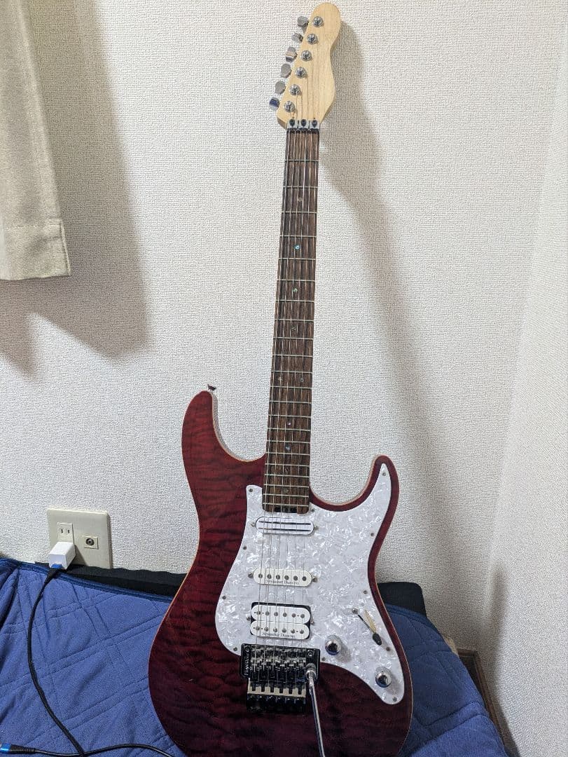 edwards snapper　E-SN-145FR