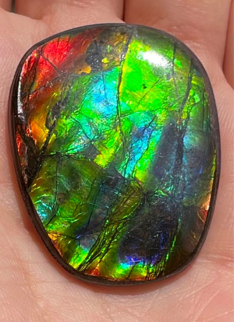 【期間限定セール】アンモライト レインボーカラー ルースストーン