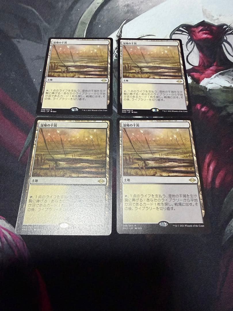 湿地の干潟　日本語　4枚