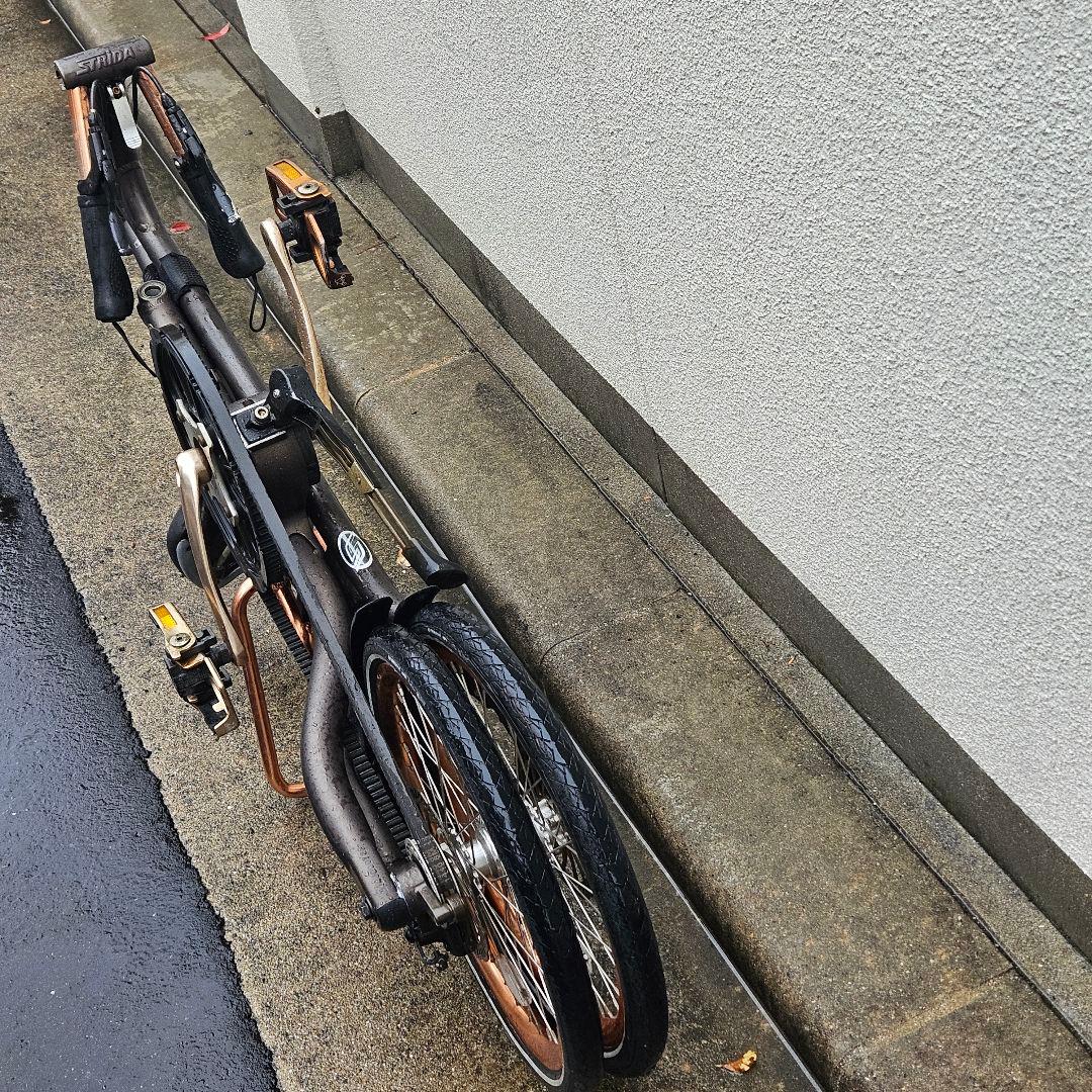 STRiDA EVO 3♪１８インチ♪ストライダ ブロンズ 内装3段変速