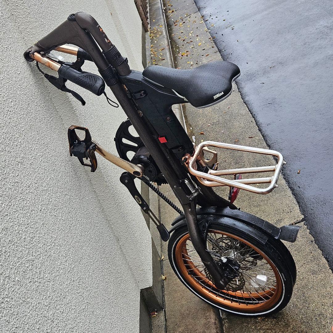 STRiDA EVO 3♪１８インチ♪ストライダ ブロンズ 内装3段変速