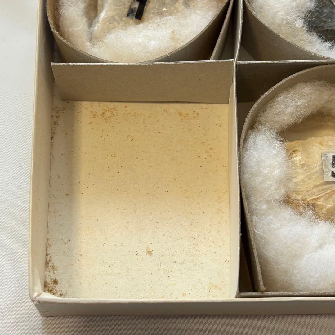 阿武隈山地あぶくま洞の岩石標本 高橋紀信 盛文堂 鍾乳石 方解石 昭和50年代