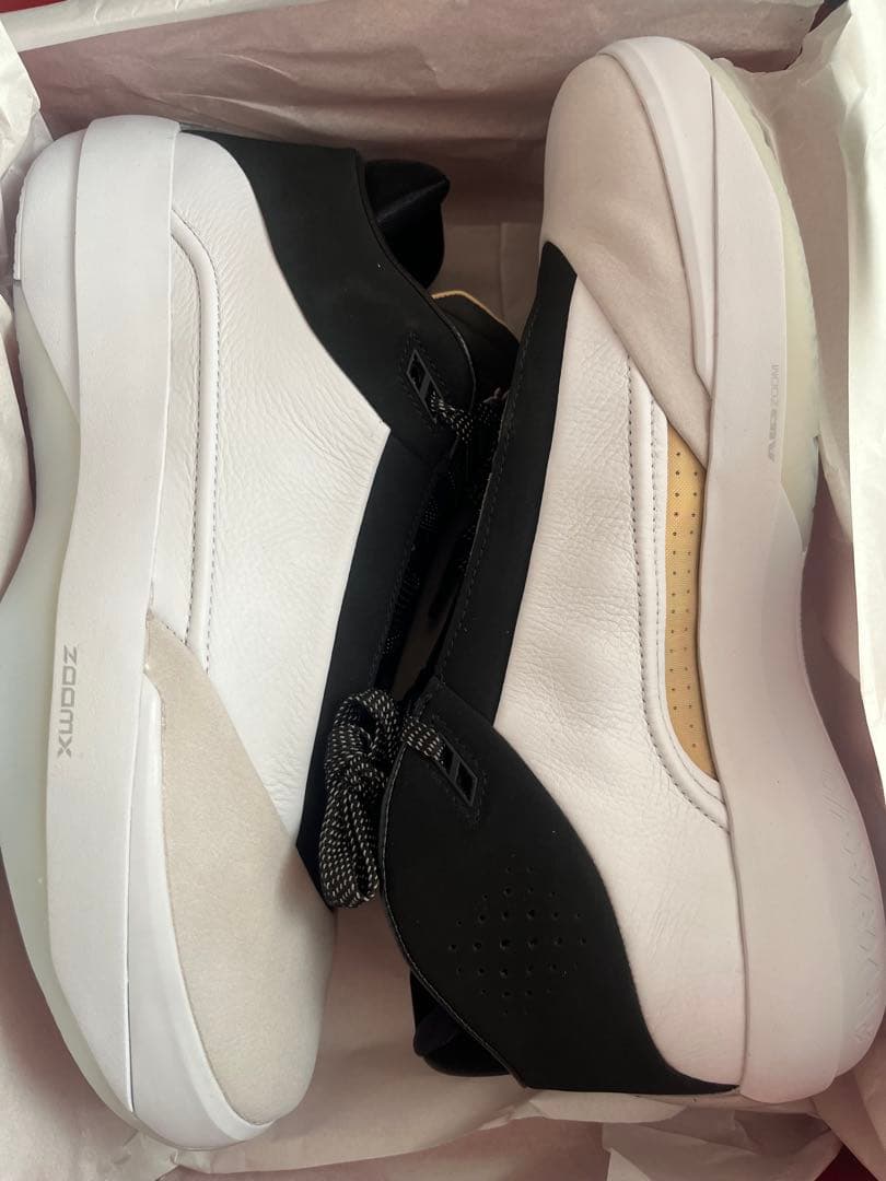 シューズ(男性用) Air Jordan40