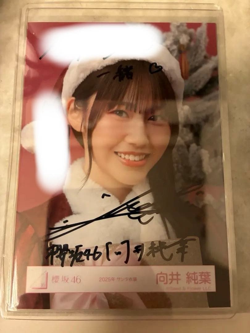 向井純葉 直筆サイン入り サンタ衣装2025 ヨリ