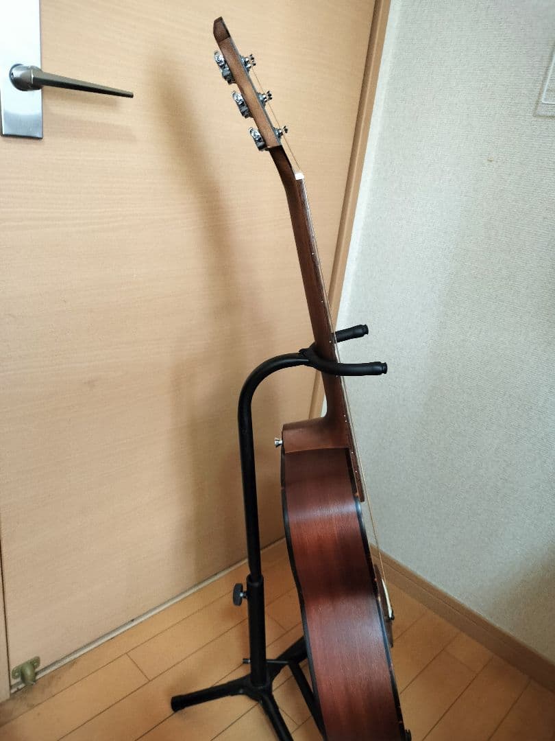 ギター Zemaitis CAM-80H Natural