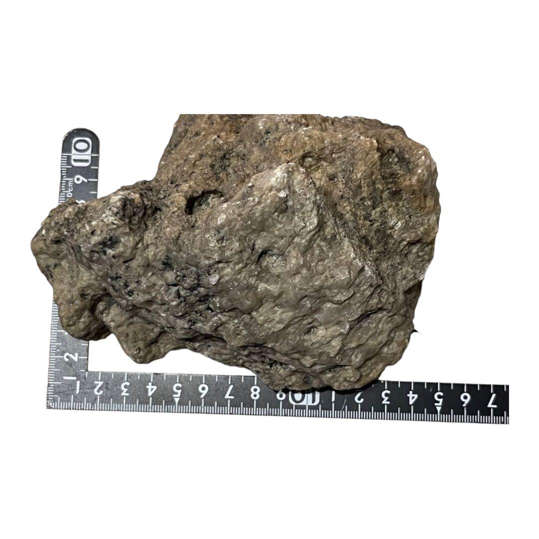 C 南極 南極の石 しらせ  昭和基地 南極観測船　ふじ