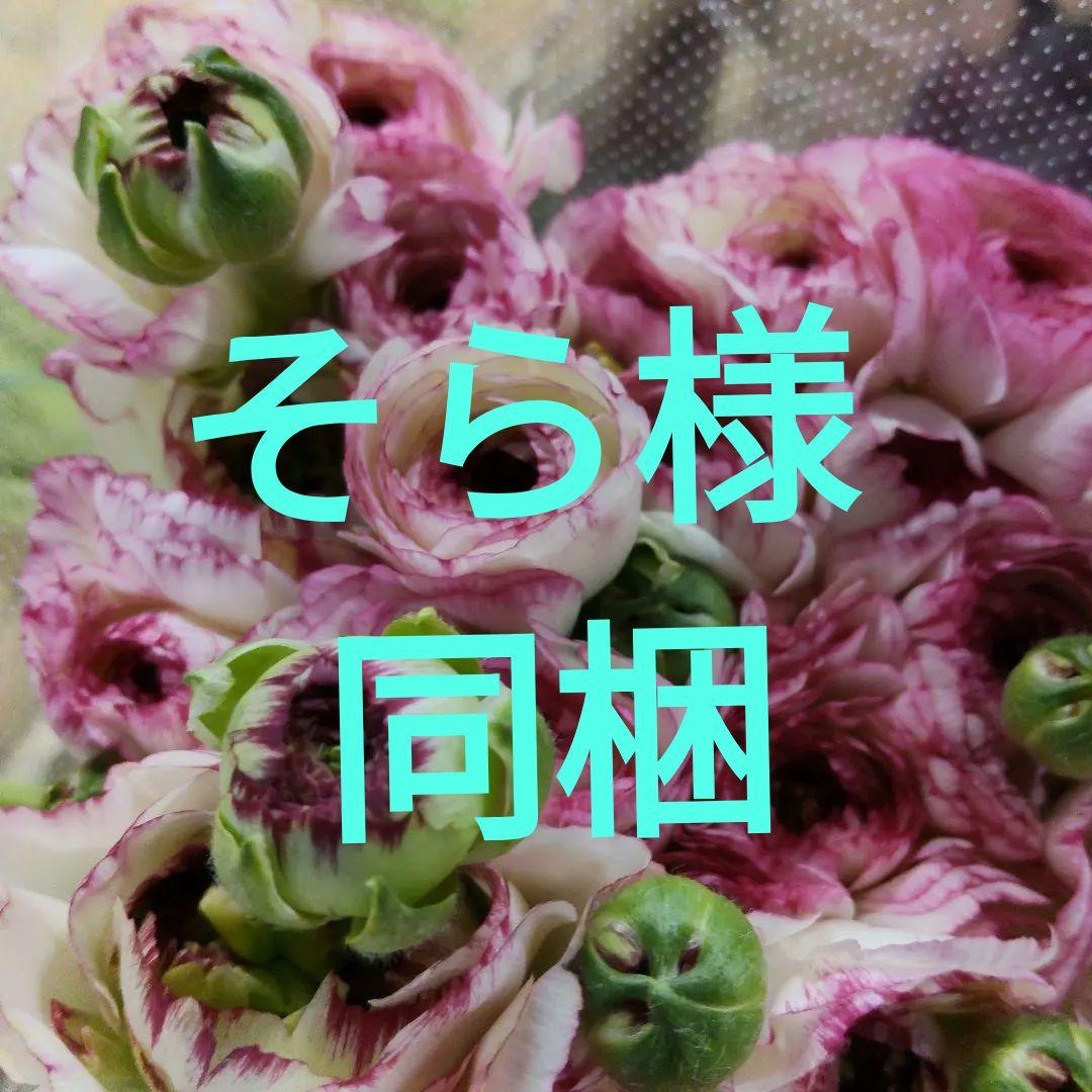ラナンキュラス 同梱3種 25センチ位各２0本[バラ 切り花 生花]1