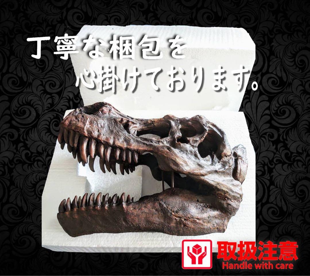 お得な２個セット！ ティラノサウルス 化石 インテリア 雑貨 オブジェ