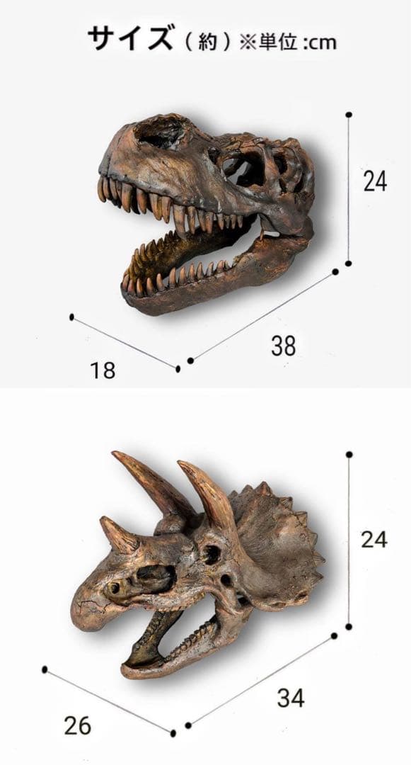 お得な２個セット！ ティラノサウルス 化石 インテリア 雑貨 オブジェ