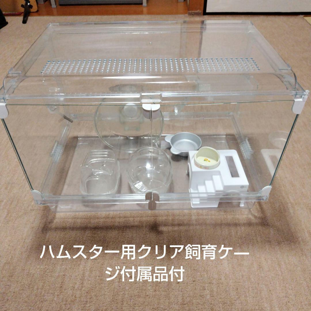GEXハムスター用クリアケージ 付属品付(横57cm横38cm高さ40cm)