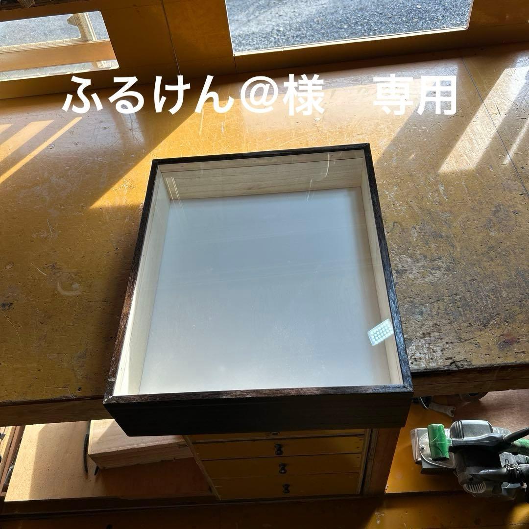 厚型大型標本箱　1箱