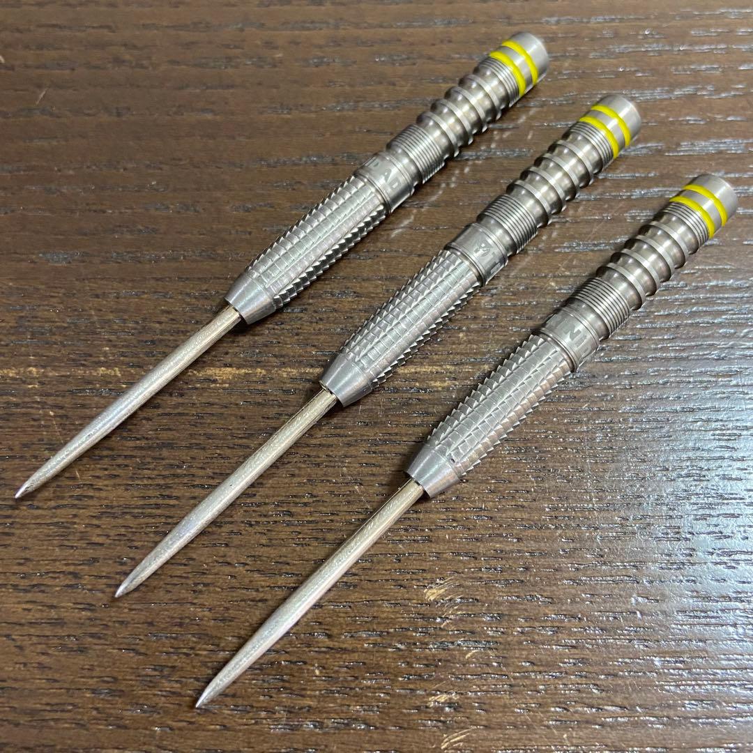 トリニダード　フレイタス 淋翔太　スティール