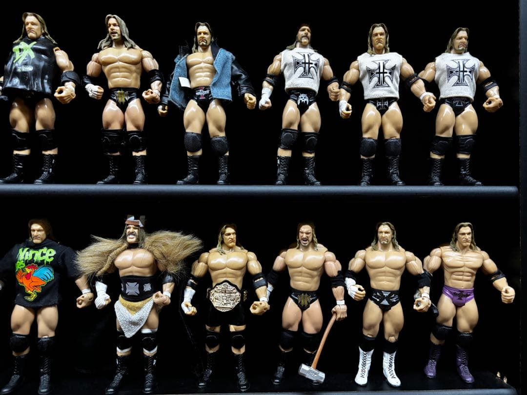 WWE トリプルH HHHフィギュア 24体セット