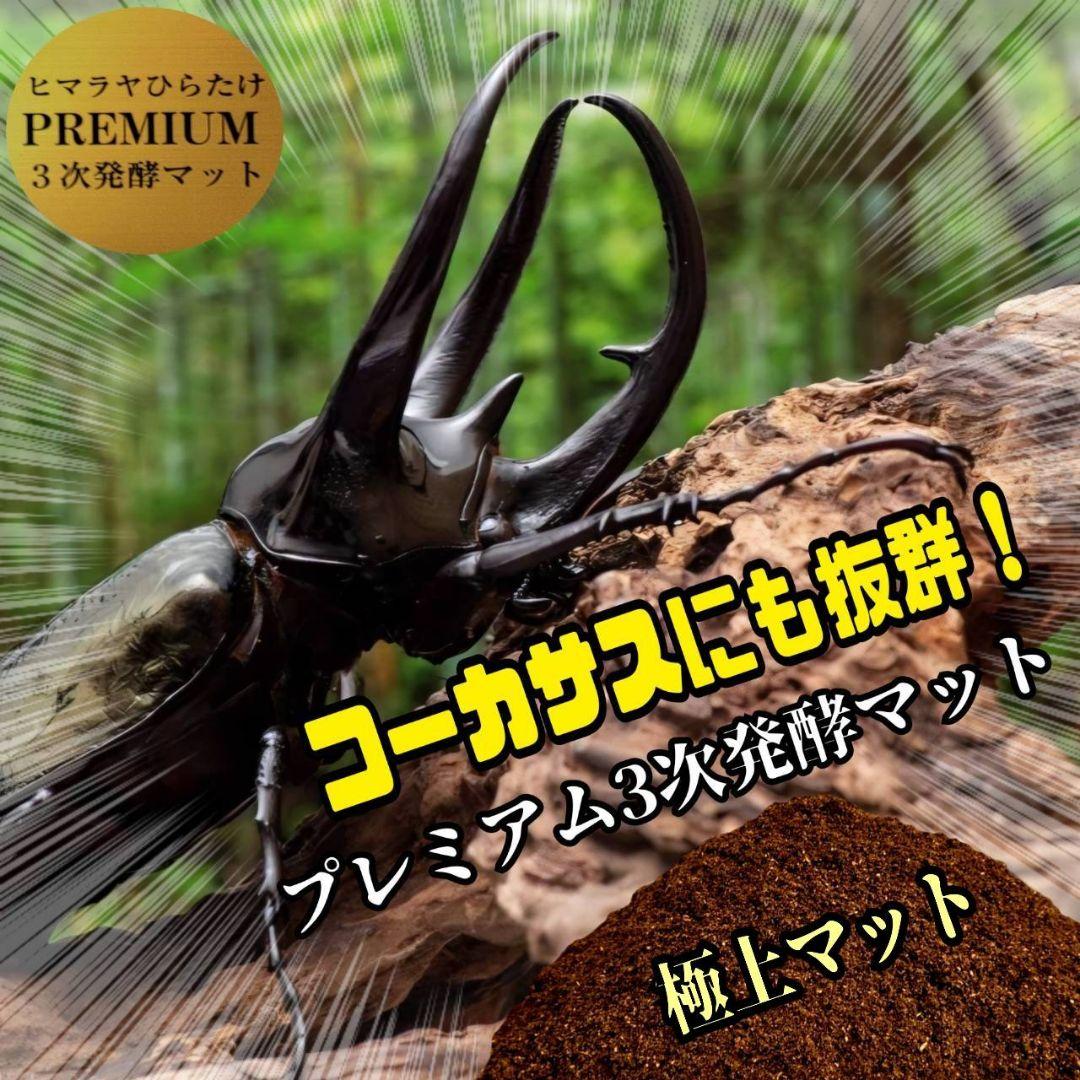 ヘラクレスが巨大化！プレミアム3次発酵カブトムシマット　60リットル　産卵にも！