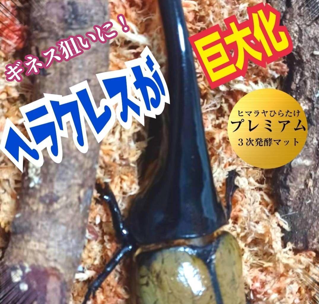 ヘラクレスが巨大化！プレミアム3次発酵カブトムシマット　60リットル　産卵にも！