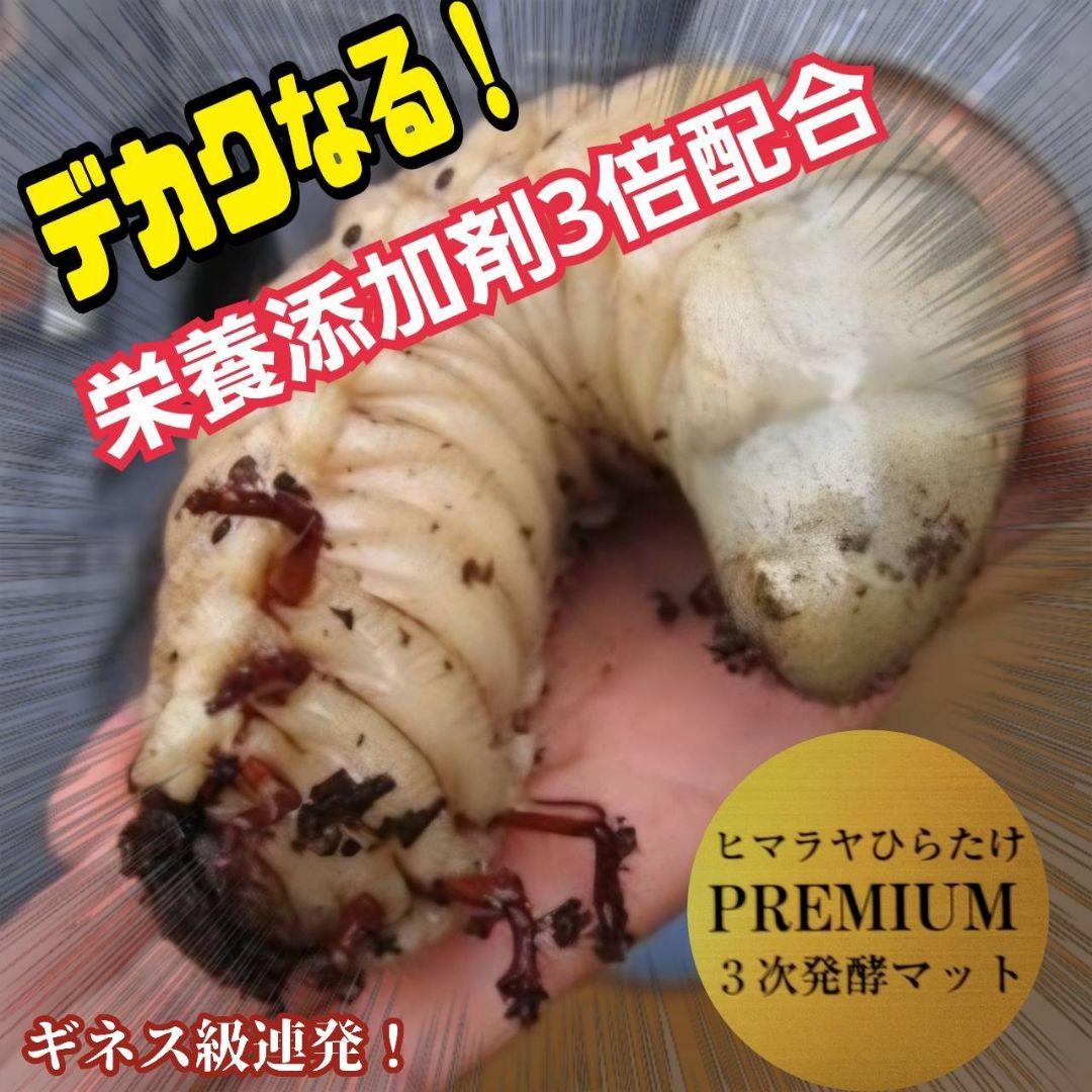 ヘラクレスが巨大化！プレミアム3次発酵カブトムシマット　60リットル　産卵にも！