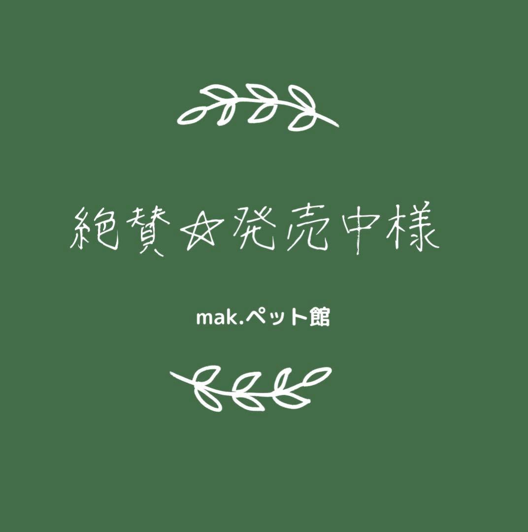 アミンアバスト　中・大型犬用規格（1,000mg）60カプセル
