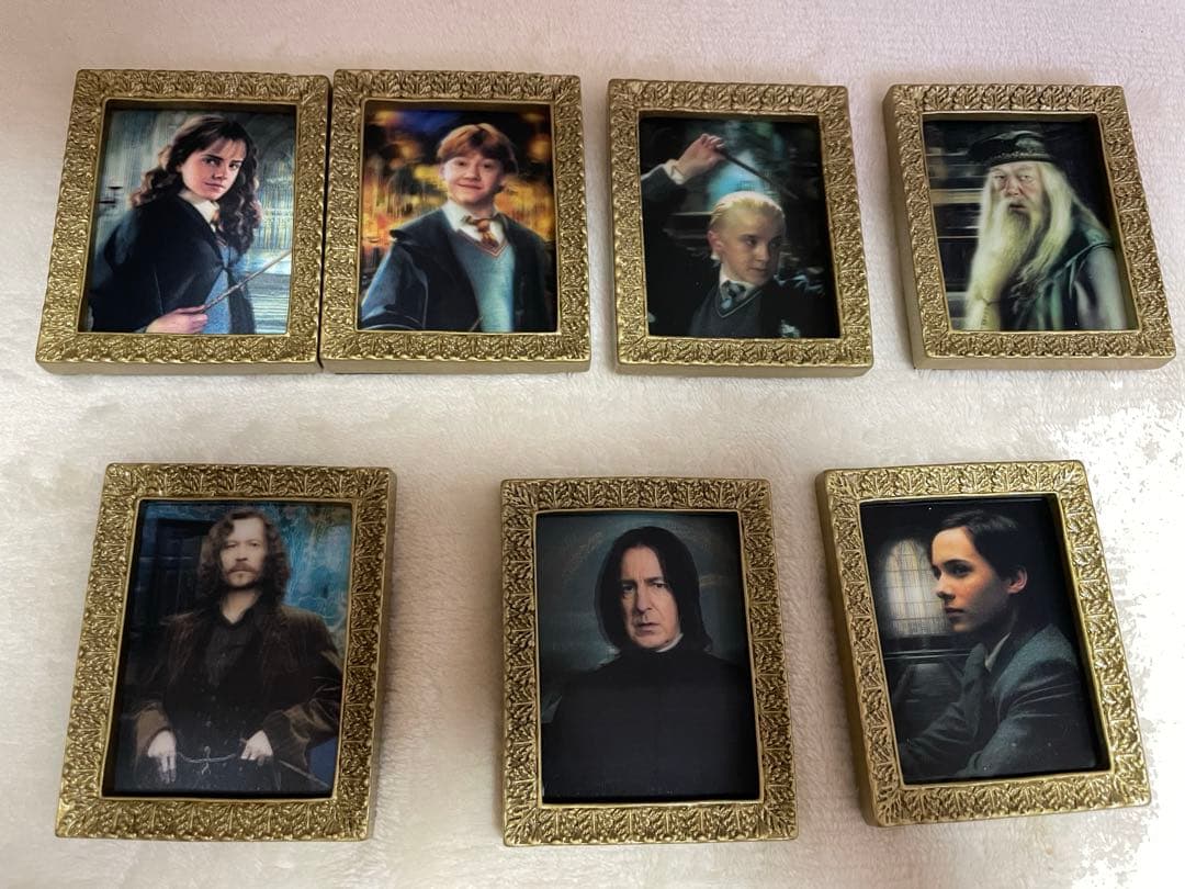 ハリー・ポッター 肖像画マグネットコレクション