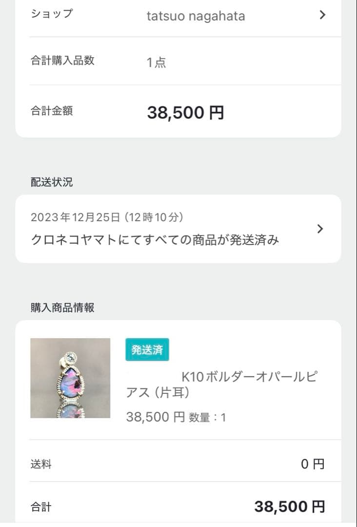 Tatsuo Nagahata タツオ ナガハタ　ボルダーオパール　ピアス