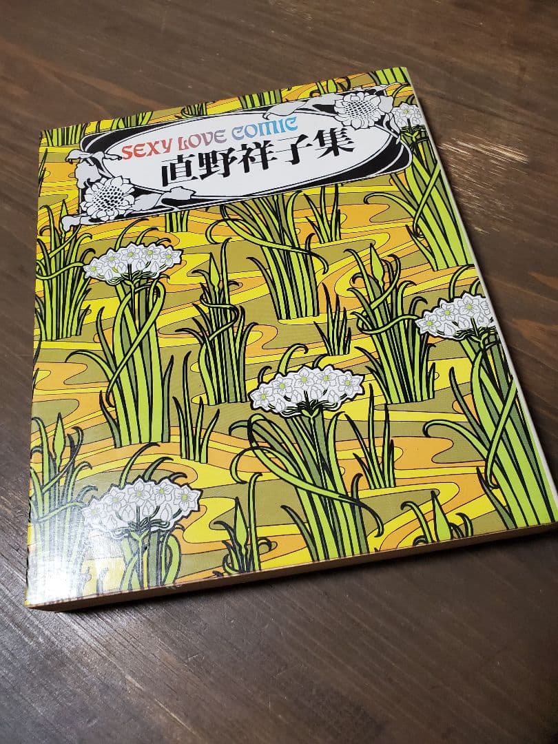 直野祥子集☆ブロンズ社