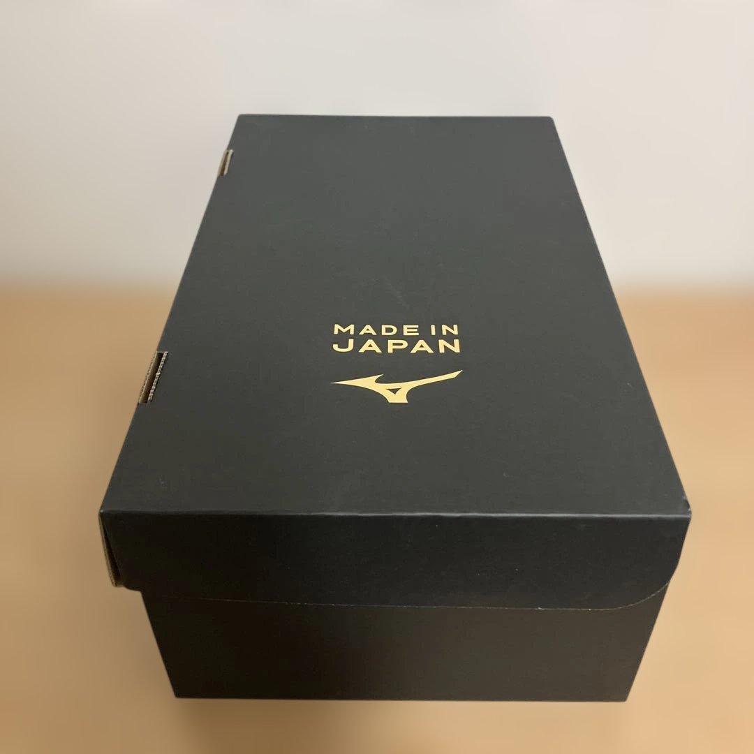 【モレリア2 JAPAN】クロスステッチ 25.5cm