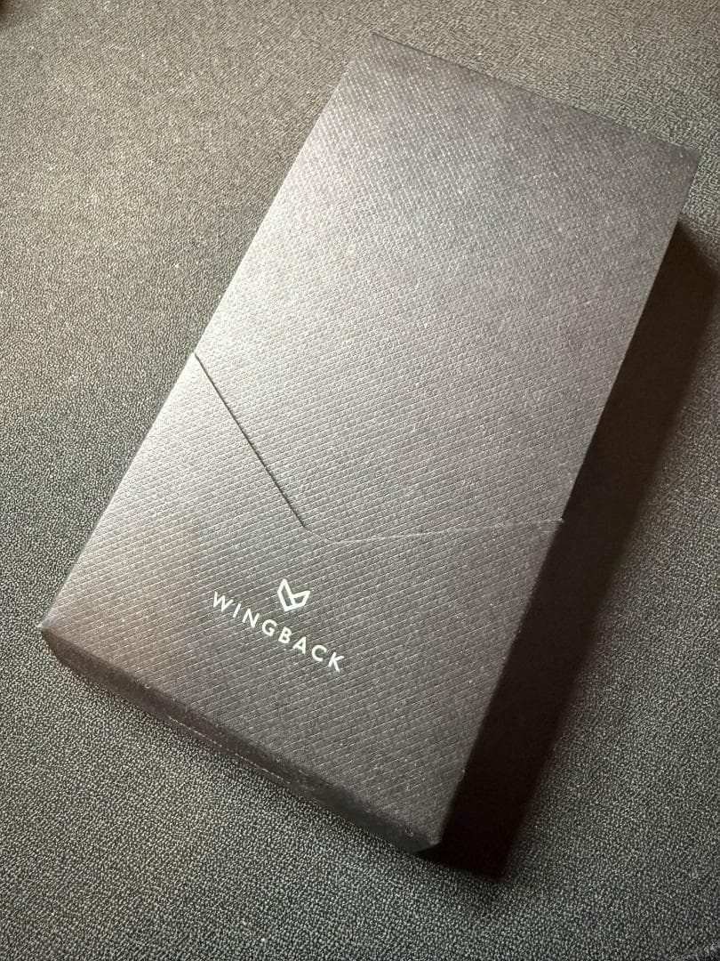 WINGBACK JOURNEYMAN チタンボールペン 限定版