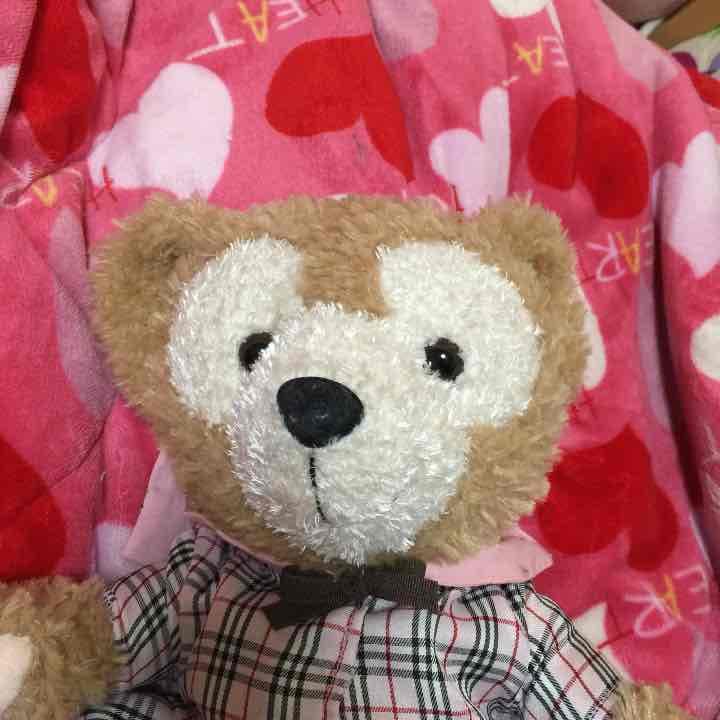 確認用 タグ付き ダッフィ バーバリータイプ コスチューム 本体付き