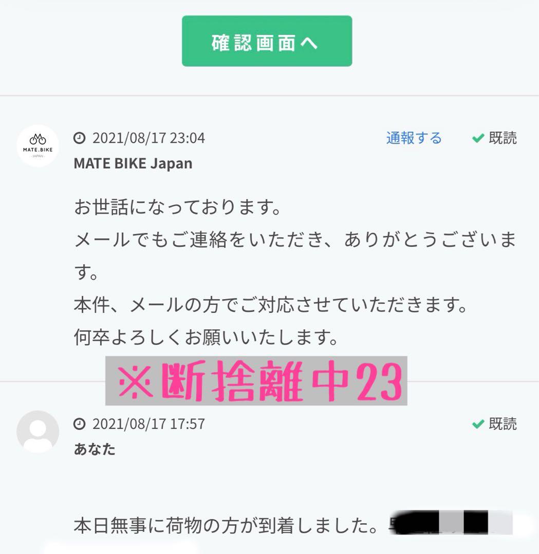 希少 初期ロット MATE X 250 電動 自転車 デザートストーム