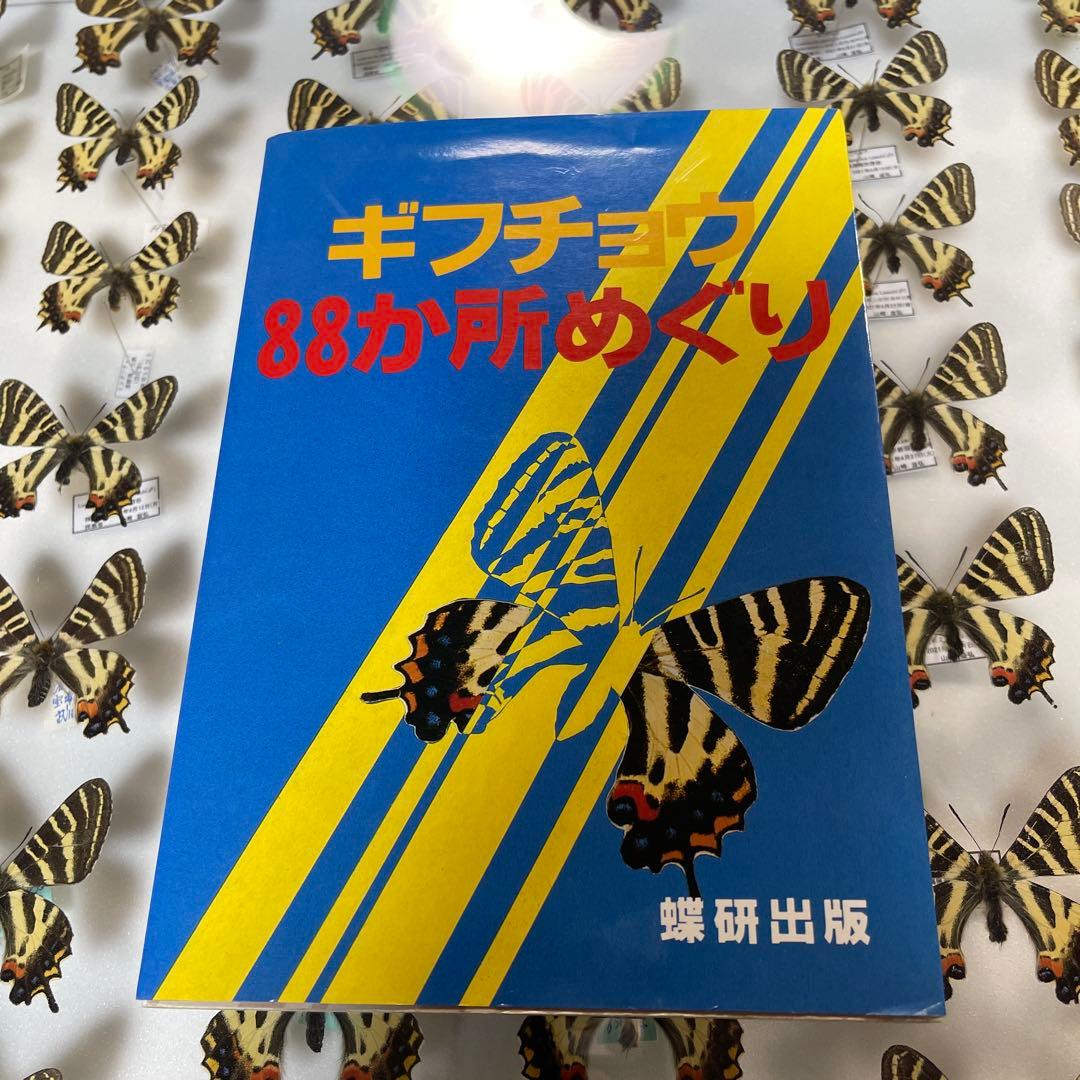 ギフチョウ　ドイツ箱入り