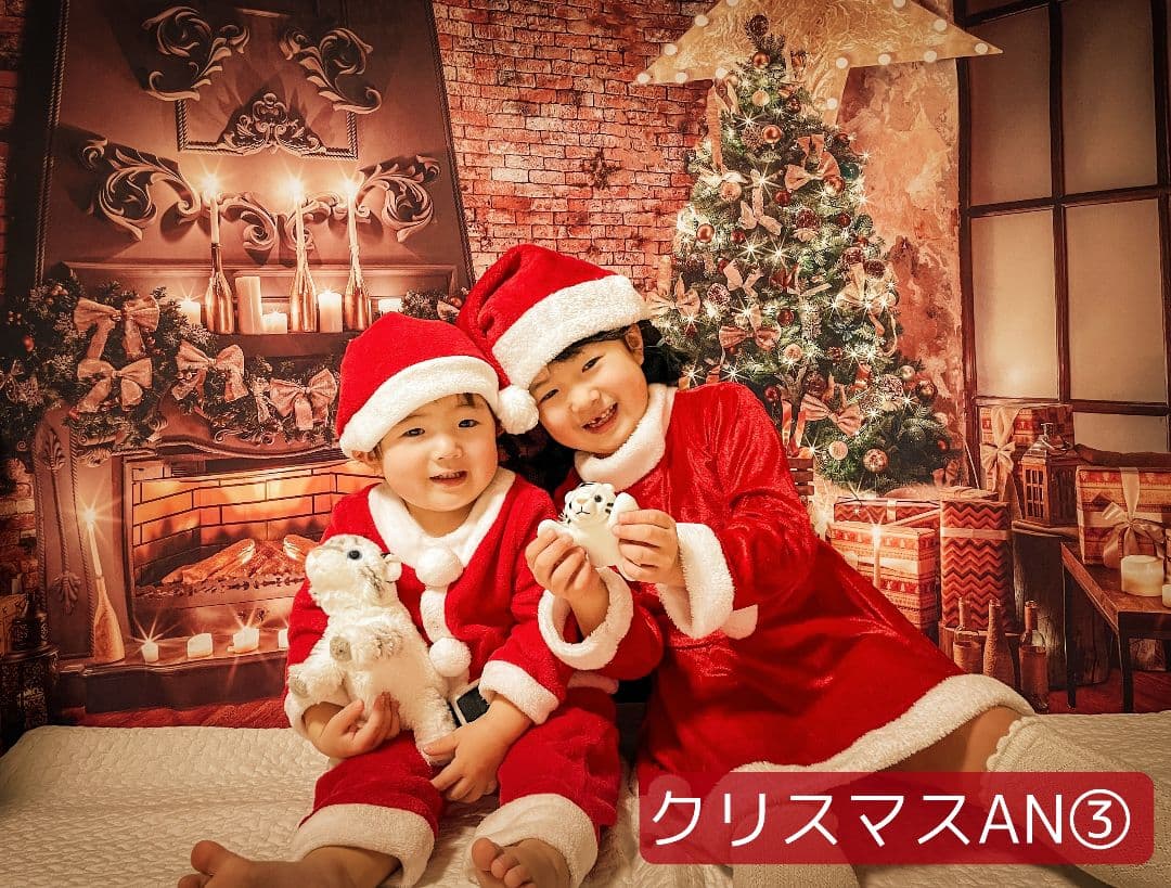 業務用トリミングチョーカー+背景布　ペット撮影用フォトブース　ハロウィン