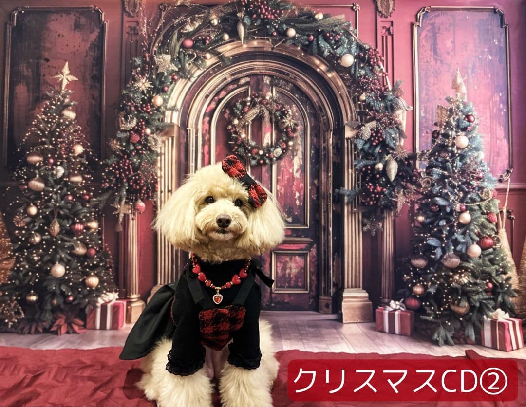 業務用トリミングチョーカー+背景布　ペット撮影用フォトブース　ハロウィン