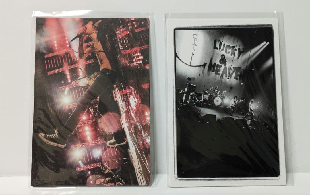 写真展　PARCO　クロマニヨンズ