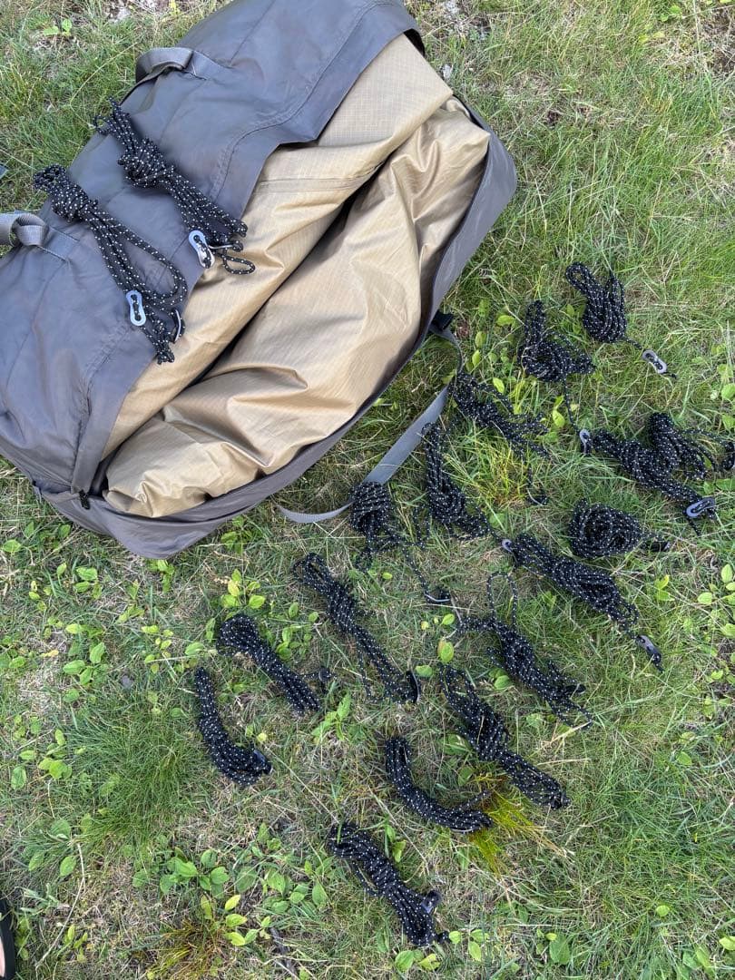 ゼインアーツ ギギ２ GIGI2