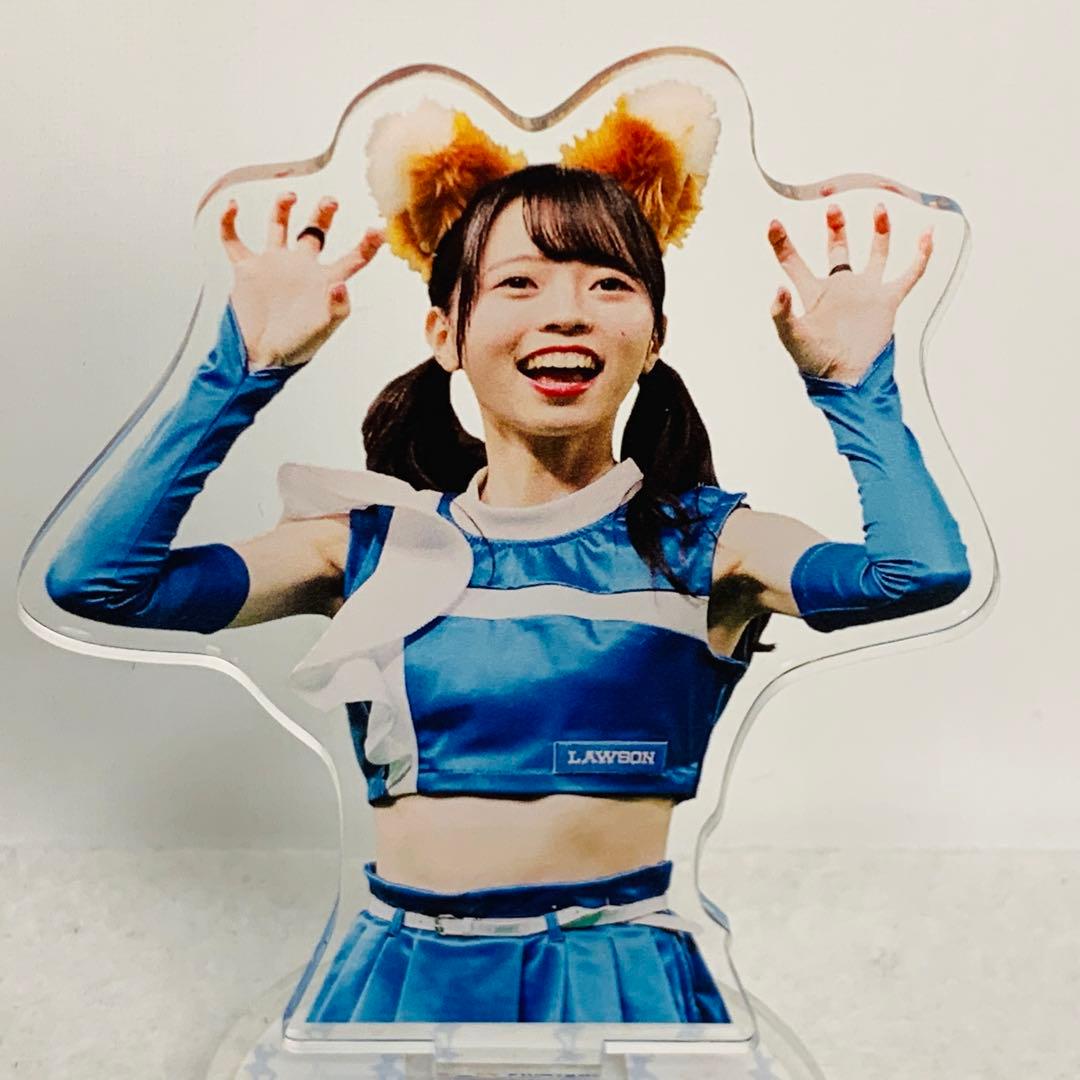 塩澤美咲 日本ハムファイターズガール　アクスタ＆アクキー グッズセット