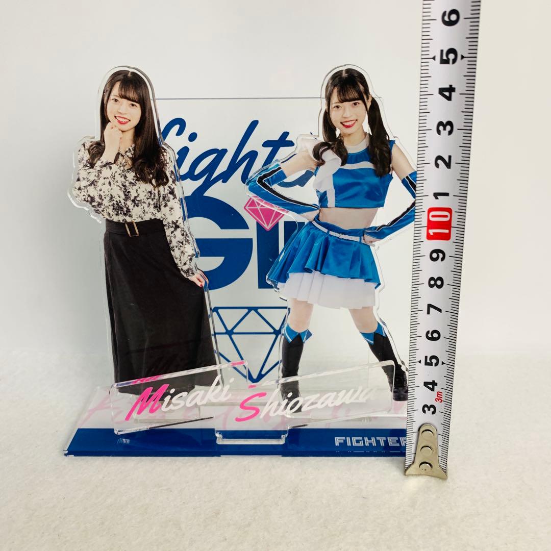 塩澤美咲 日本ハムファイターズガール　アクスタ＆アクキー グッズセット