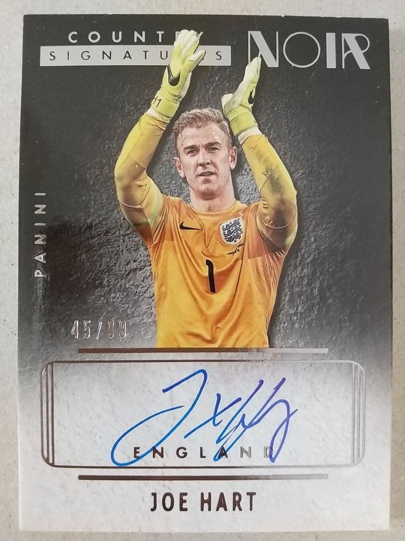 その他 panini noir Joe Hart